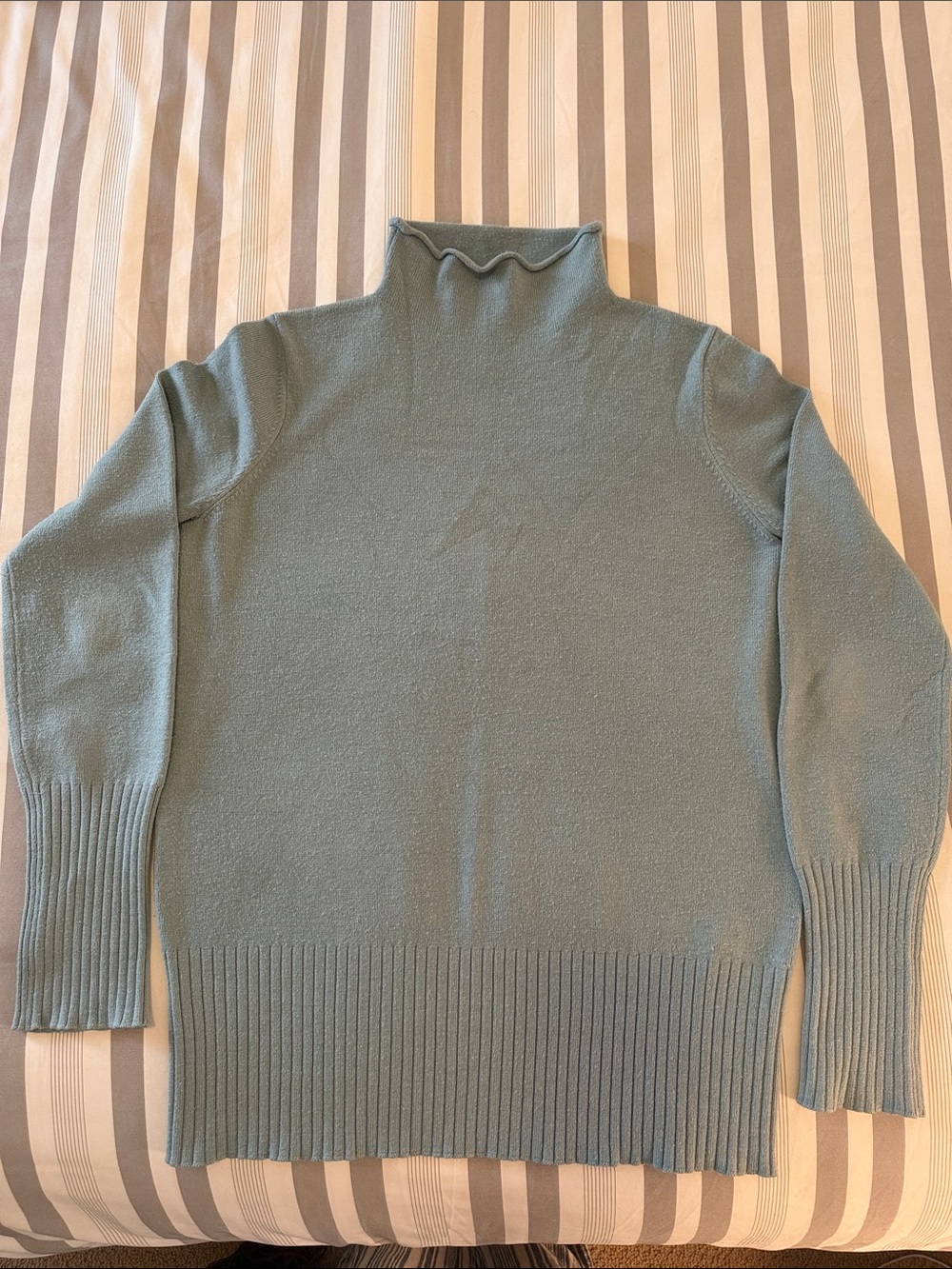 French Connection Men's Sage Turtleneck Sweater